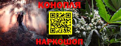 спиды Будённовск