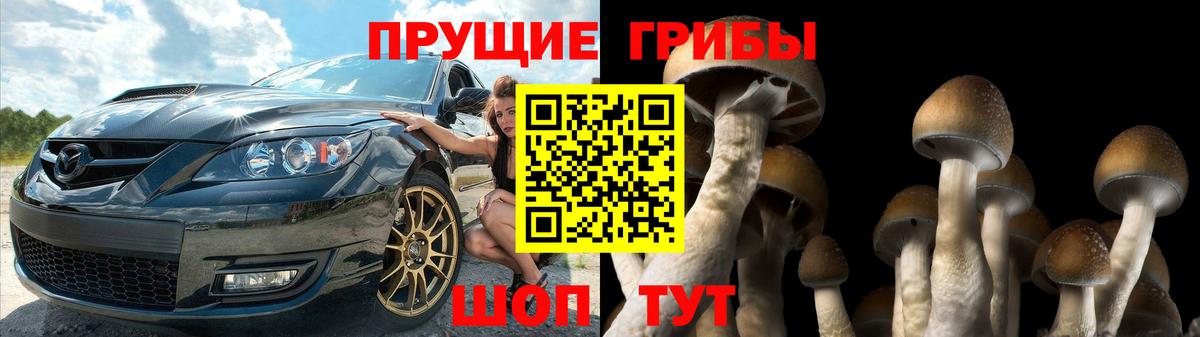 Псилоцибиновые грибы Psilocybine cubensis  наркошоп  Искитим  Вход с VPN  Псилоцибиновые грибы мицелий 